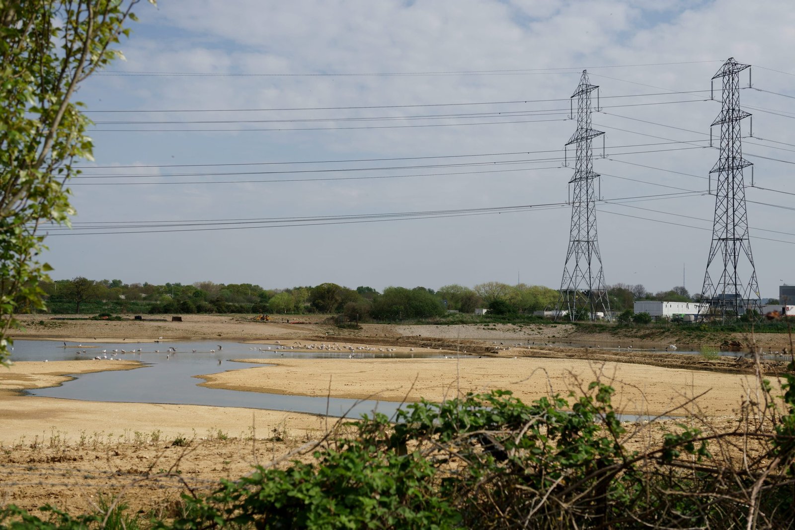 Beddington Farmlands Delays Draw Criticism from Campaigners