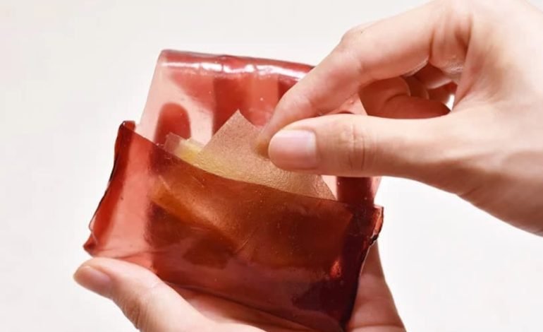 Hand peeling edible packaging wrapper made from biodegradable materials, showcasing an eco friendly alternative to plastic waste