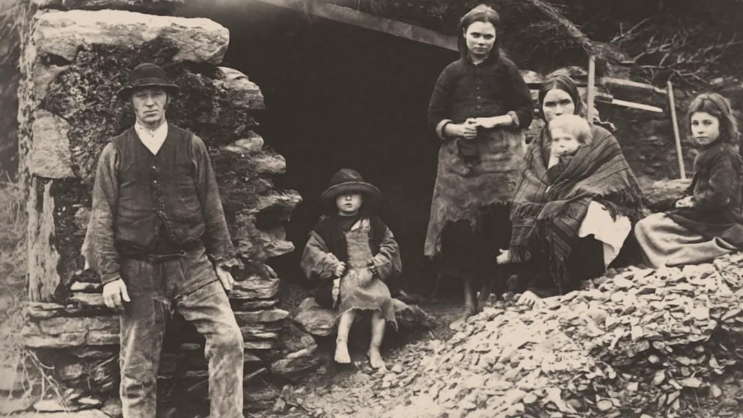 The Pathogen Behind the Irish Potato Famine: New Origins Revealed