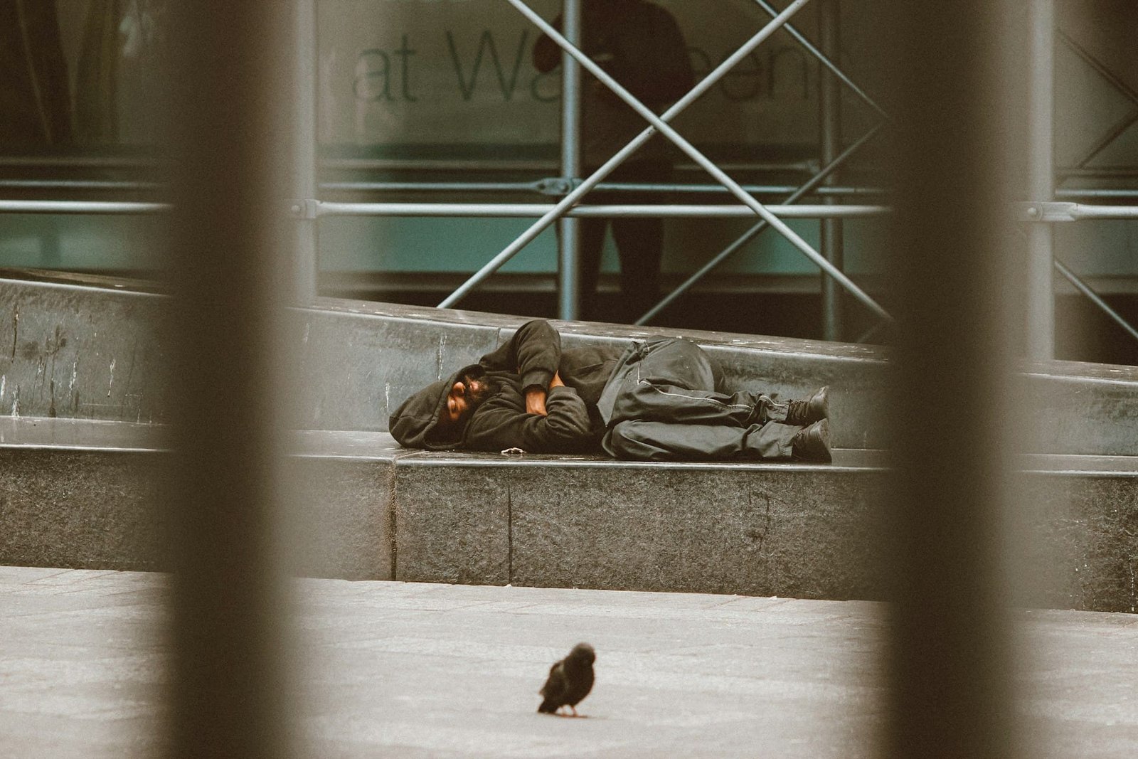 Rough sleeping in London risen from last year
