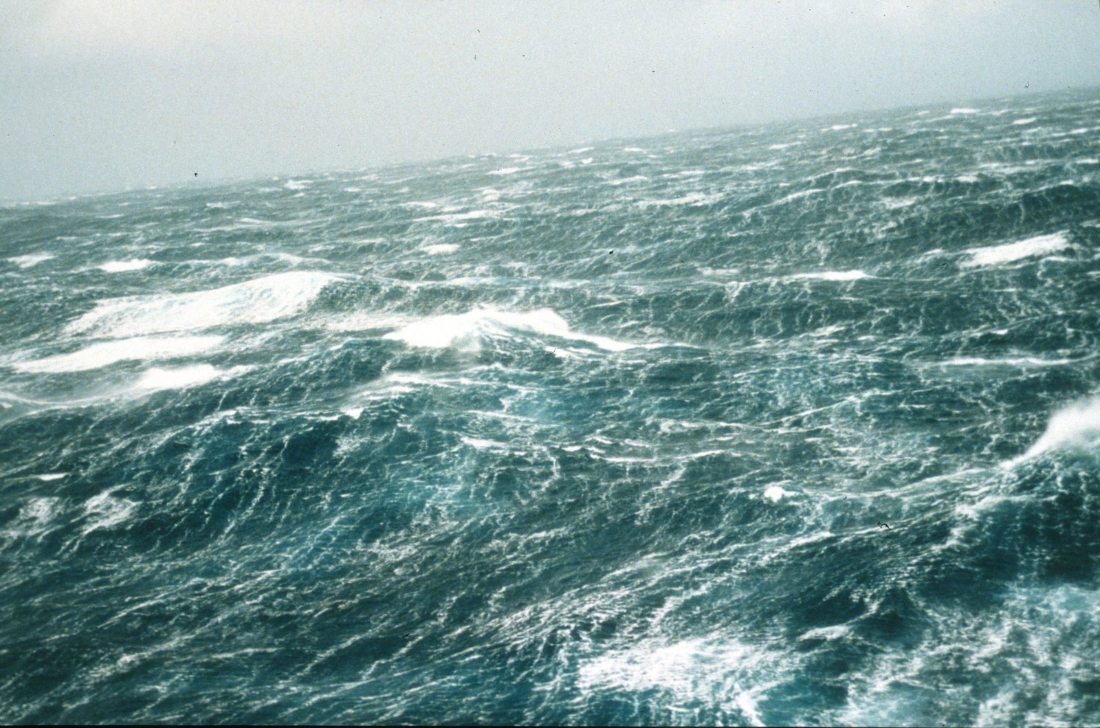 London Father Missing After Yacht Capsizes in Storm Herminia