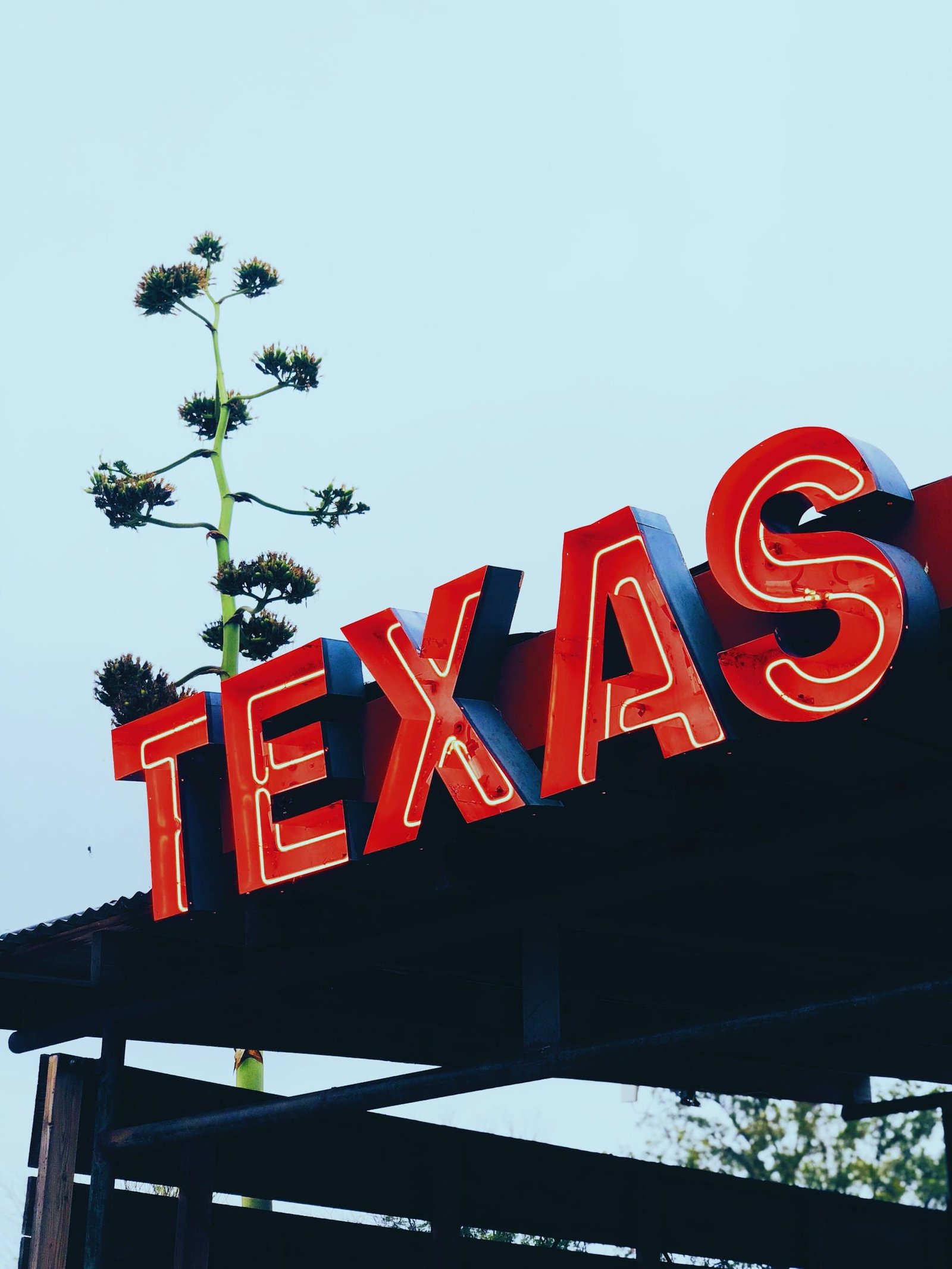 Measles deaths, first in US for decade recorded in Texas