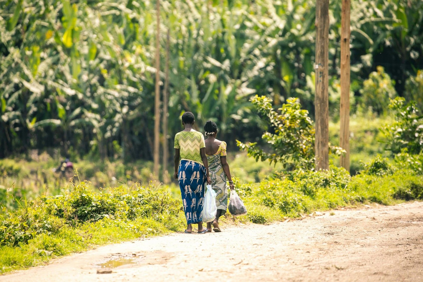 Unknown illness kills 50 in Congo