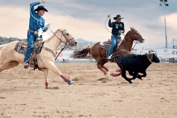 Derrick Begay and Colter Todd