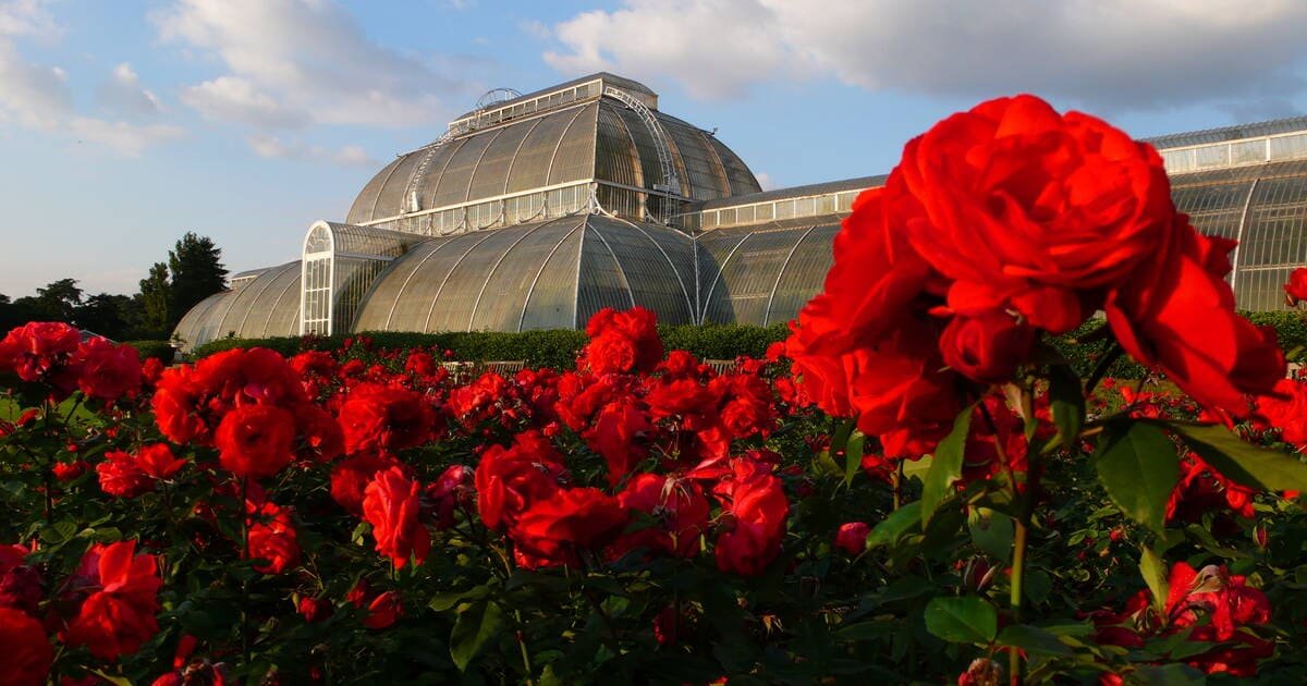 Kew Gardens Carbon Garden to Open in July