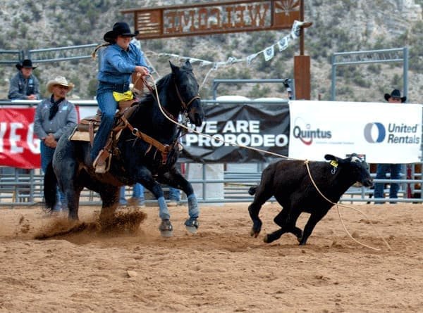 LeighAnn Scribner Breakaway Roper