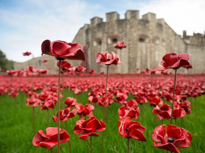 Poppies installation coming to Tower of London