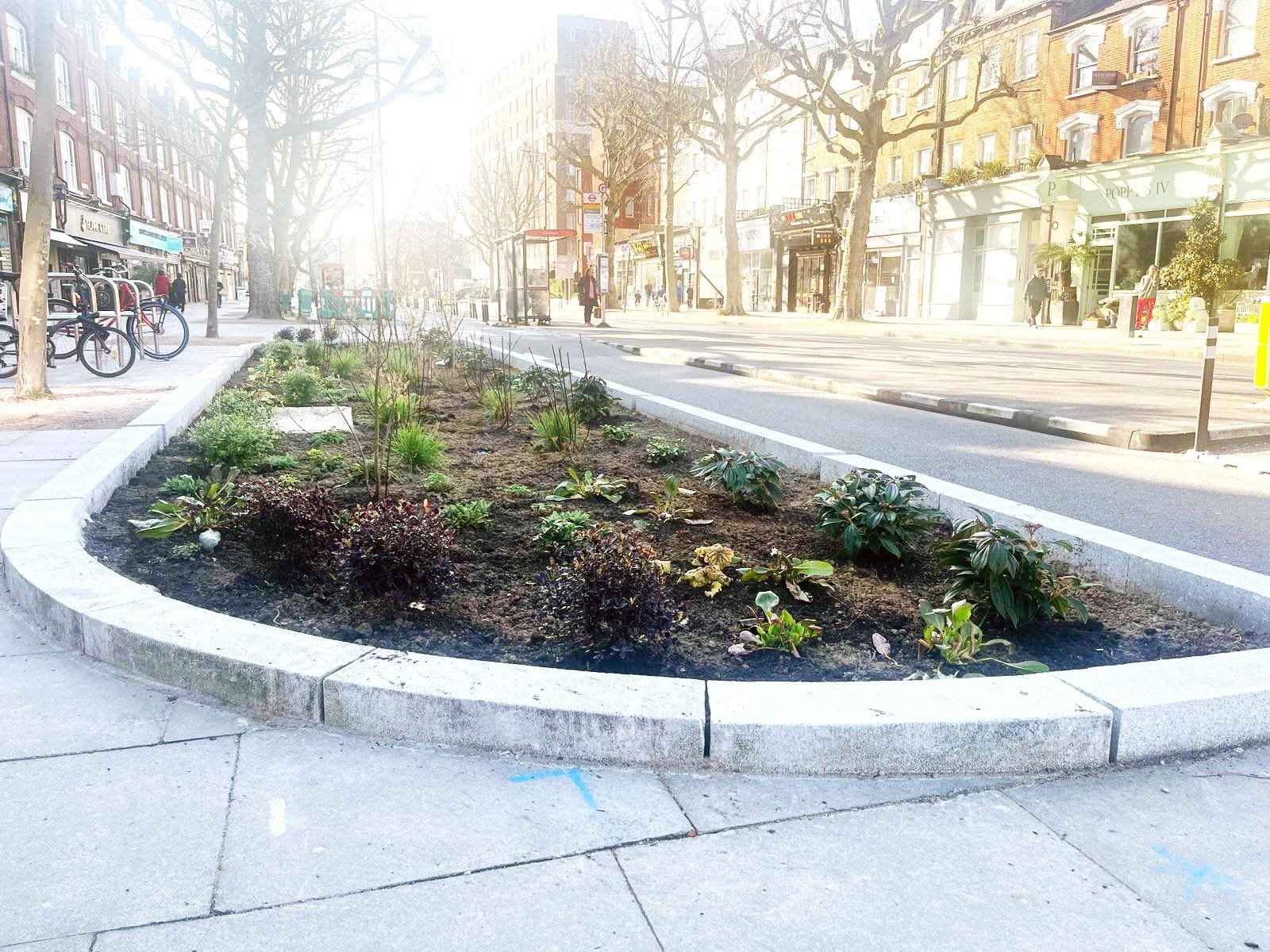 Rain garden create green shield to fight flooding