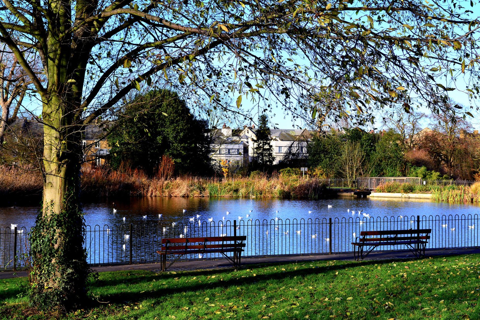 Legal challenge over Brockwell Park festivals gains £31k in backing