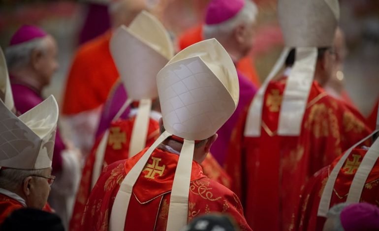 Who Will Lead the Catholic Church? Meet the Potential Successors to Pope Francis