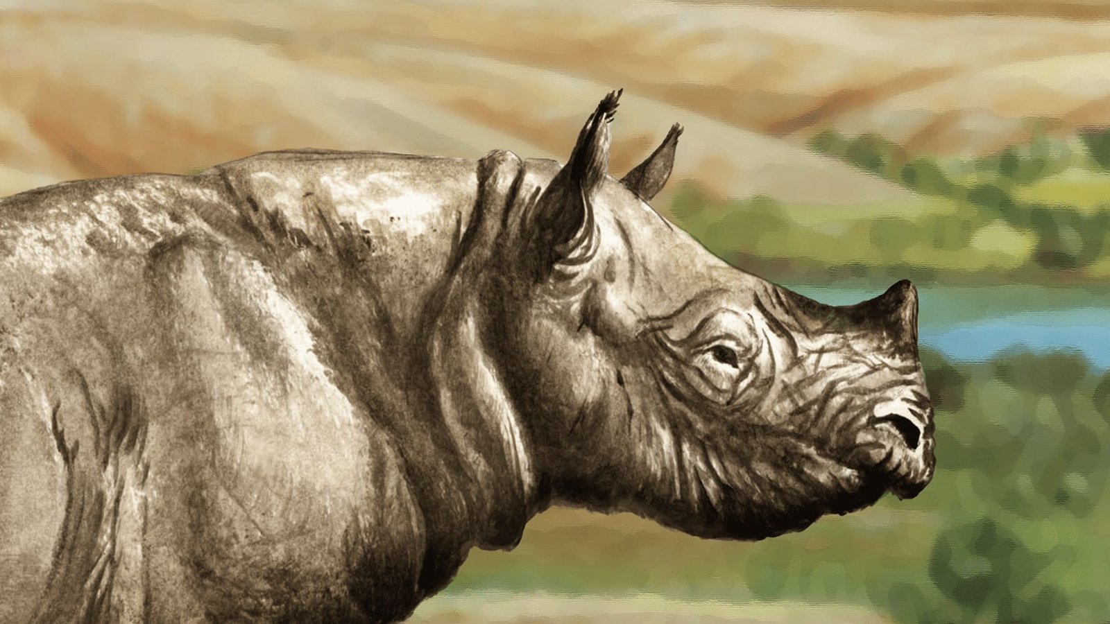 Ashfall Mystery Solved: Fossilised Rhinos Show Herd Life and No Escape