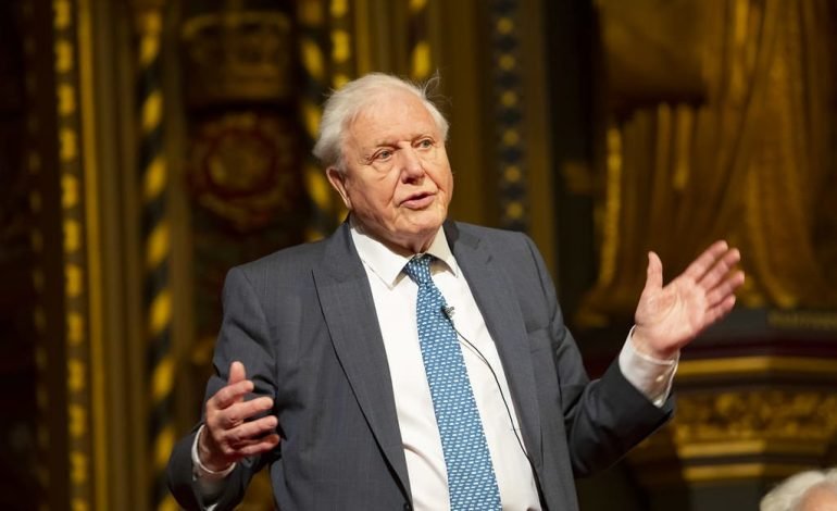 Sir David Attenborough speaking at a formal event ahead of the launch of Our Story with David Attenborough