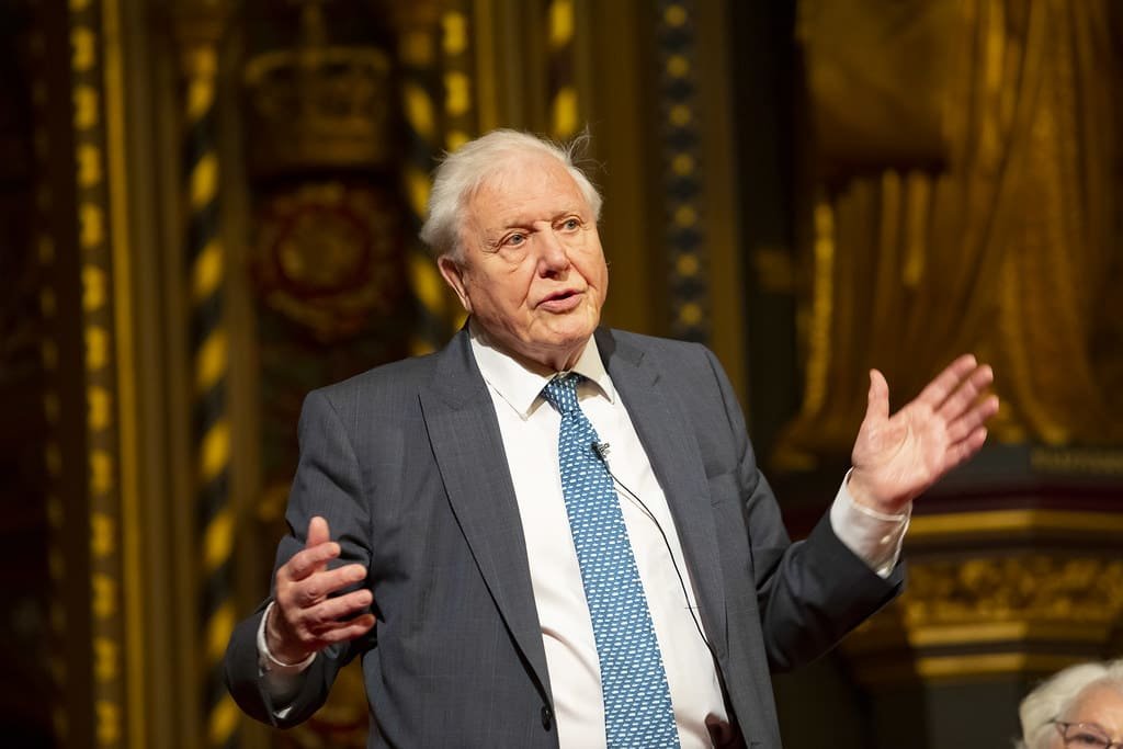 Sir David at 99: A New Story Begins at the Natural History Museum