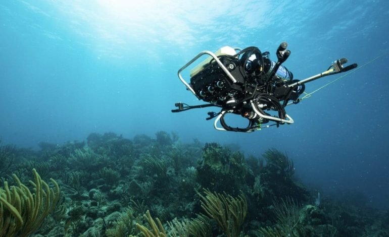 Sounds of coral reefs spark hope for reef restoration