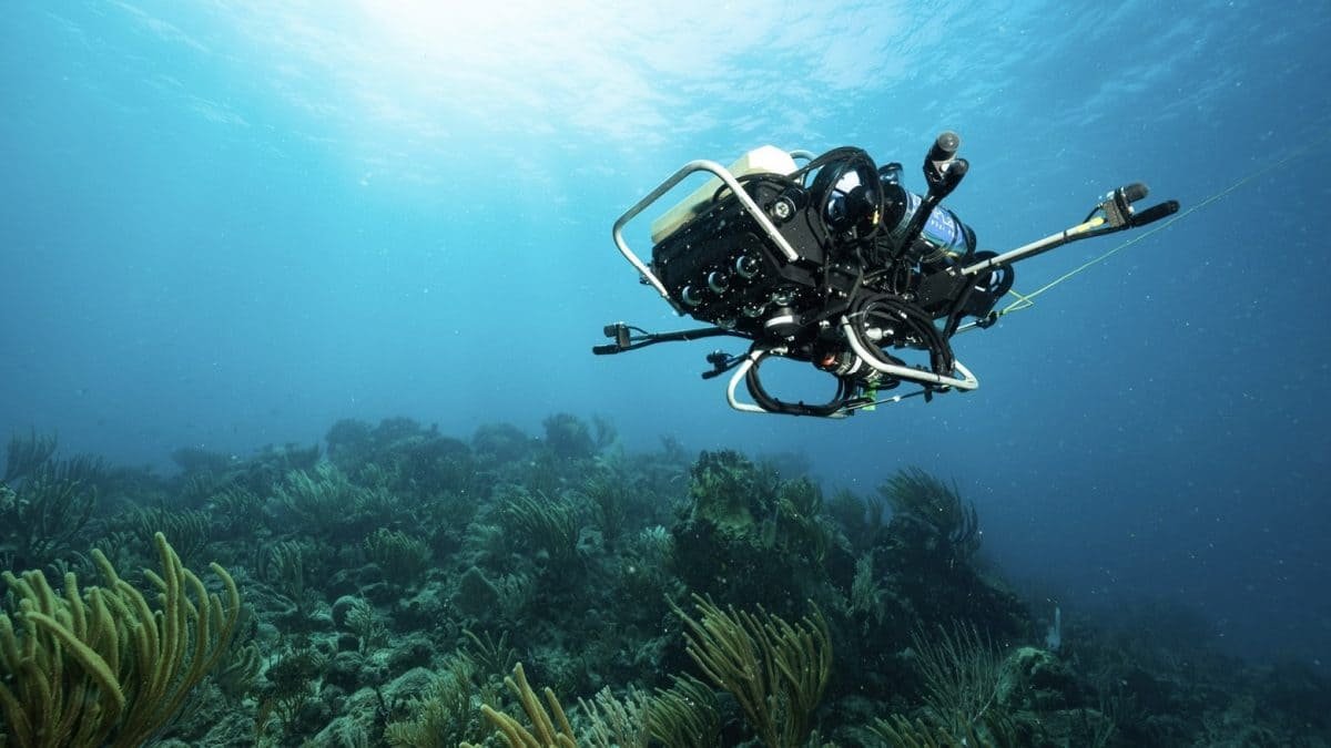 Sounds of coral reefs spark hope for reef restoration