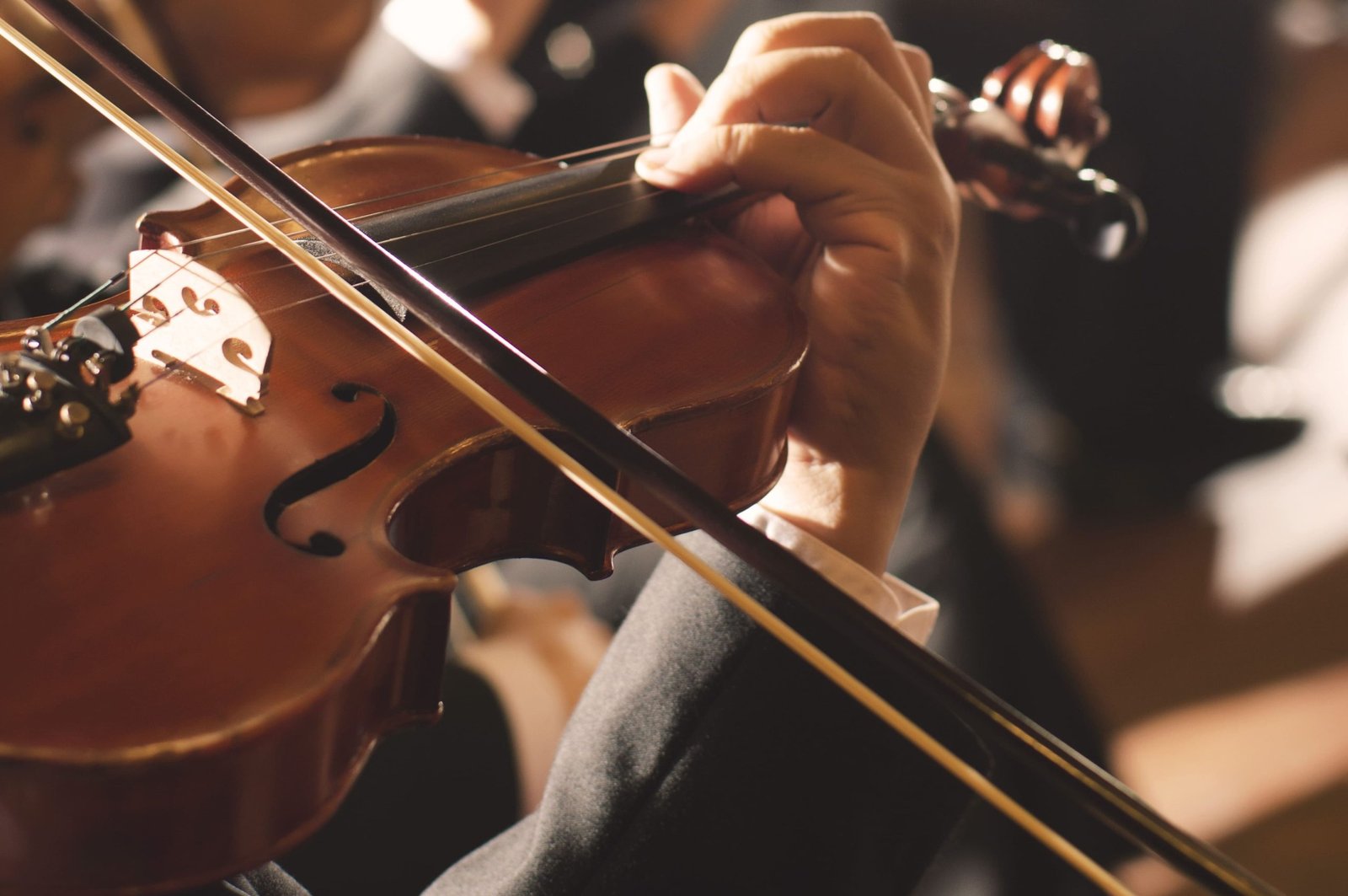 BBC Proms 2025 celebrates global talent and first overnight concert in decades