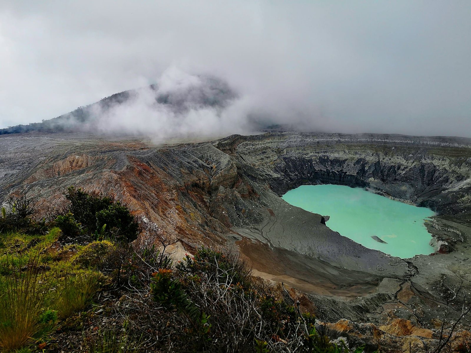Crater from dino-killing asteroid was hotbed for life, study finds