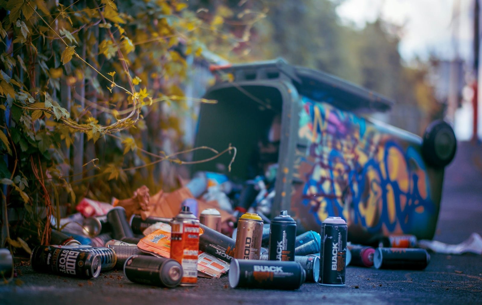 Fly-tipping & littering crackdown underway in RBKC