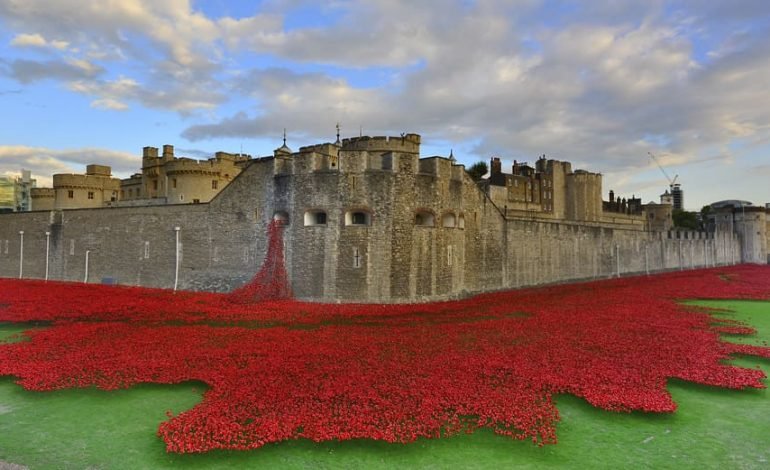Tower Remembers poppy installation brings reflection and remembrance back to the heart of London