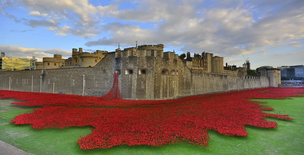 Tower Remembers poppy installation brings reflection and remembrance back to the heart of London