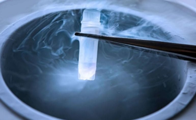 Cryopreserved tissue sample in liquid nitrogen, part of research into a potential cure for menopause