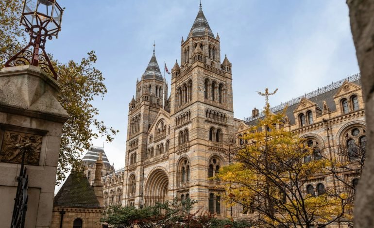 low angle exterior shot of the natural history museum