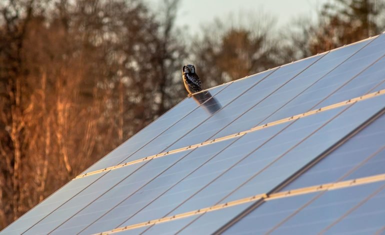 Solar panels to be fitted to new-builds by 2027