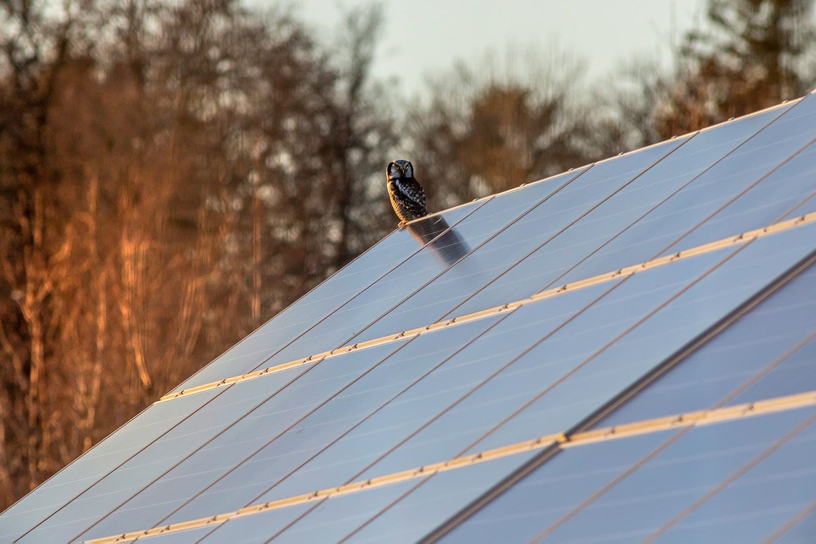 Solar panels to be fitted to new-builds by 2027