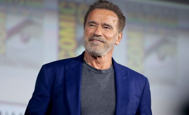 Arnold Schwarzenegger urges climate activists to take local action at a global summit