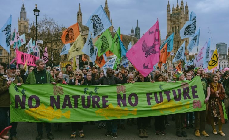 climate emergency uk protest outside parliament holding signs