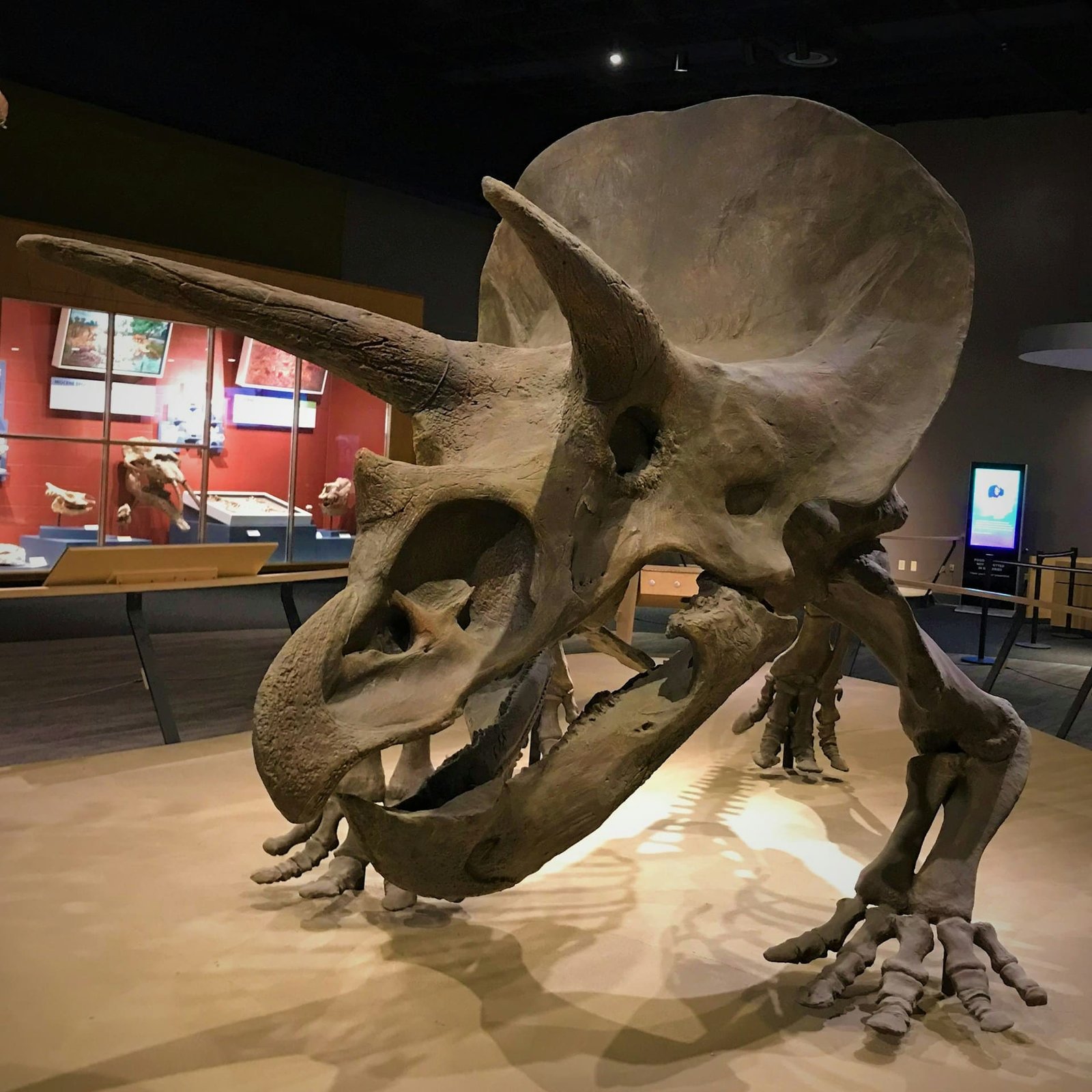Fossils may hold answers to cancer discoveries