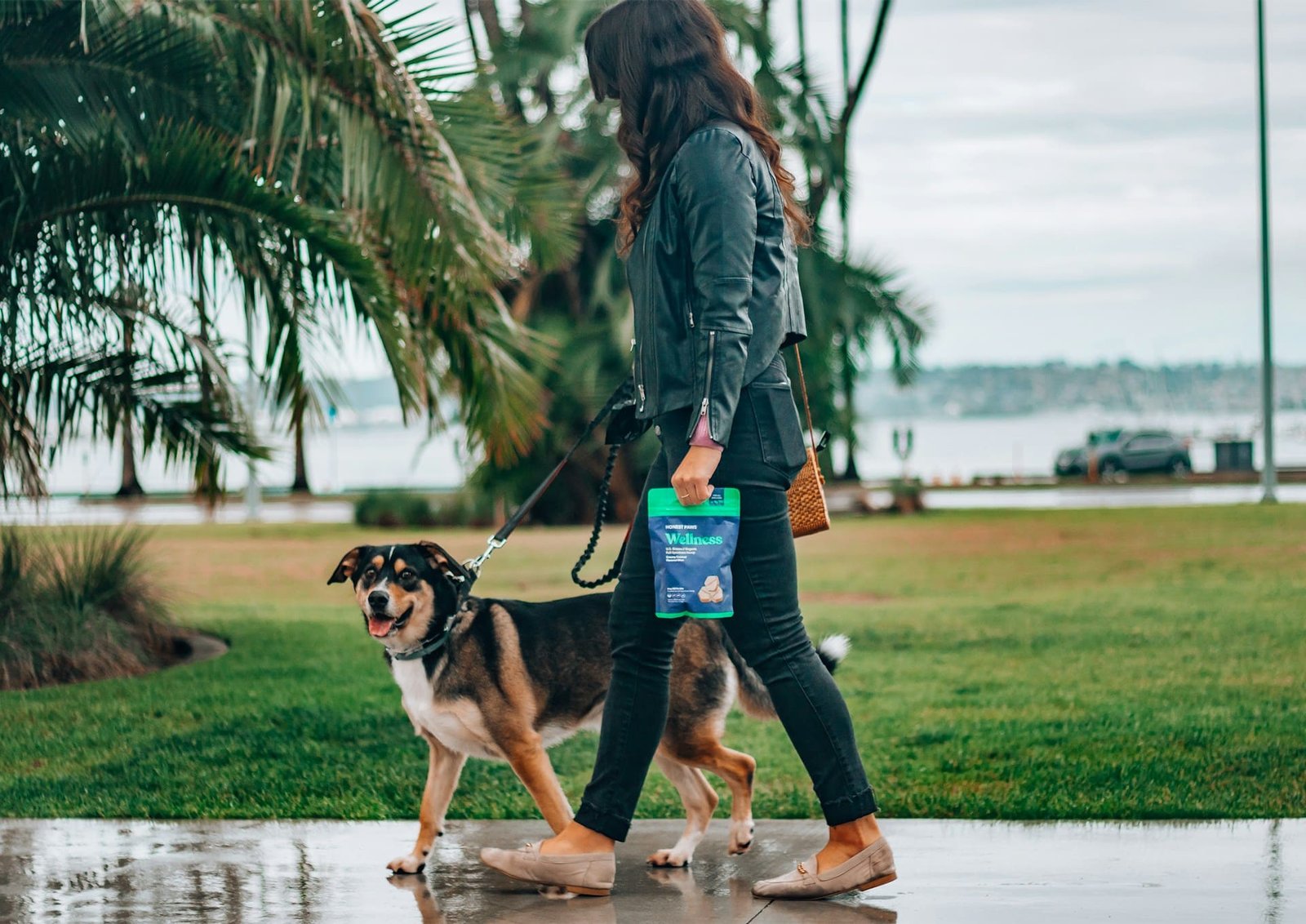 Dog walking ban in Iran expanded