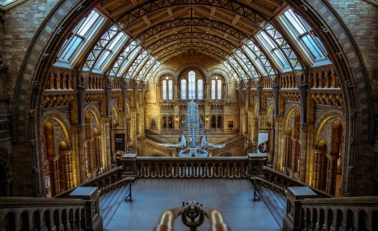 Enigmacursor, new dinosaur species, to be at NHM