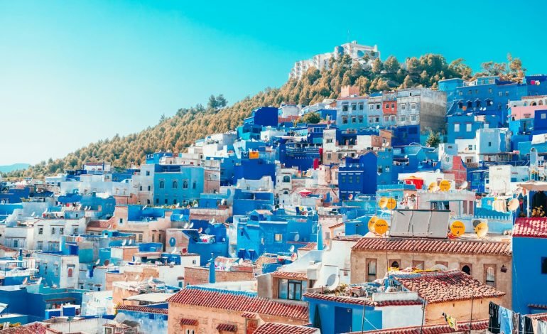 Rabies kills British woman after encounter with Moroccan puppy
