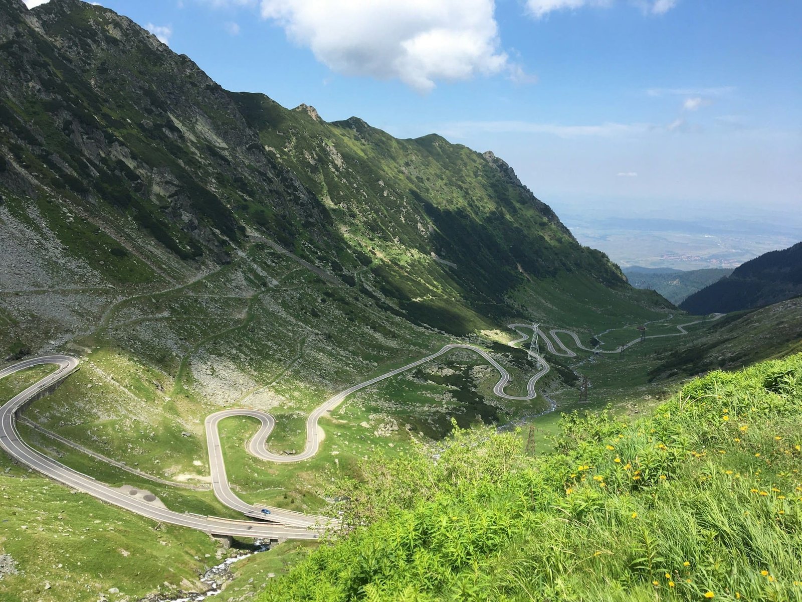 Motorcyclist killed by bear in Romanian mountains