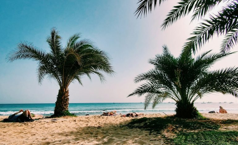 beach called sal in cape verde
