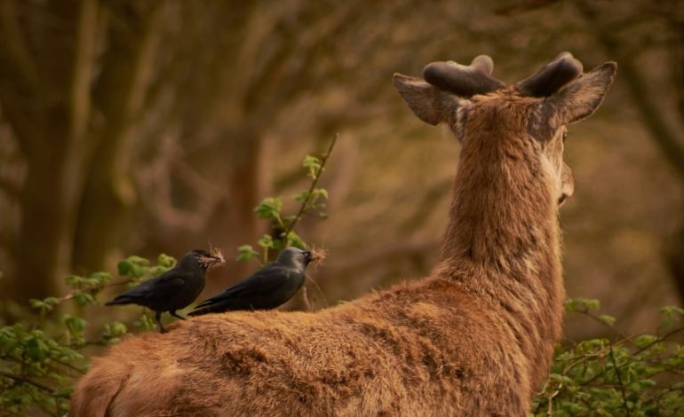 Climate action microgrants applications open