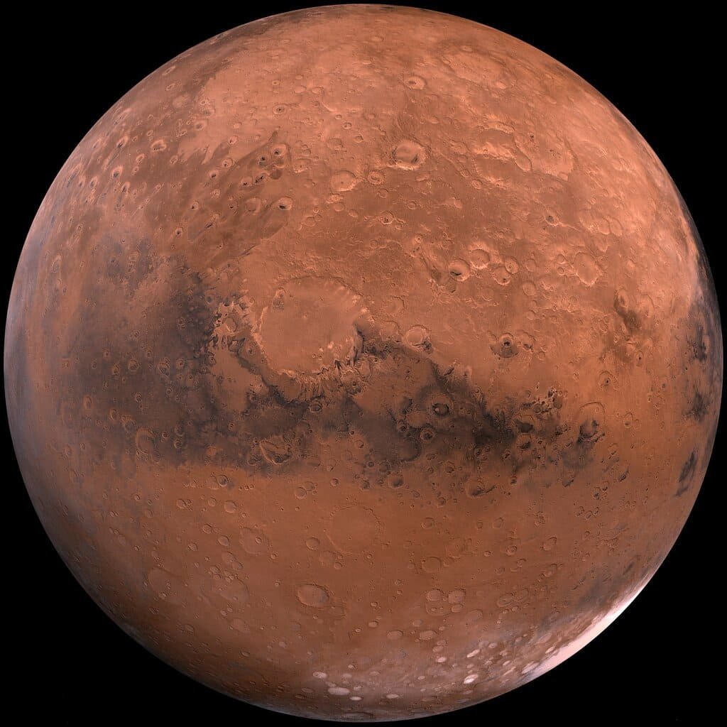 Mars rock, largest found on Earth, sells for $4.3 million