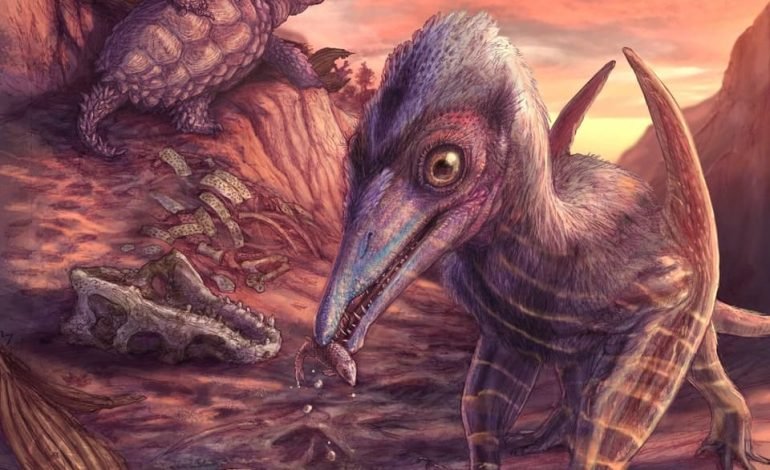 new pterosaur species