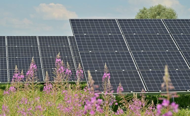 Cleve Hill, UK’s largest solar park, now online