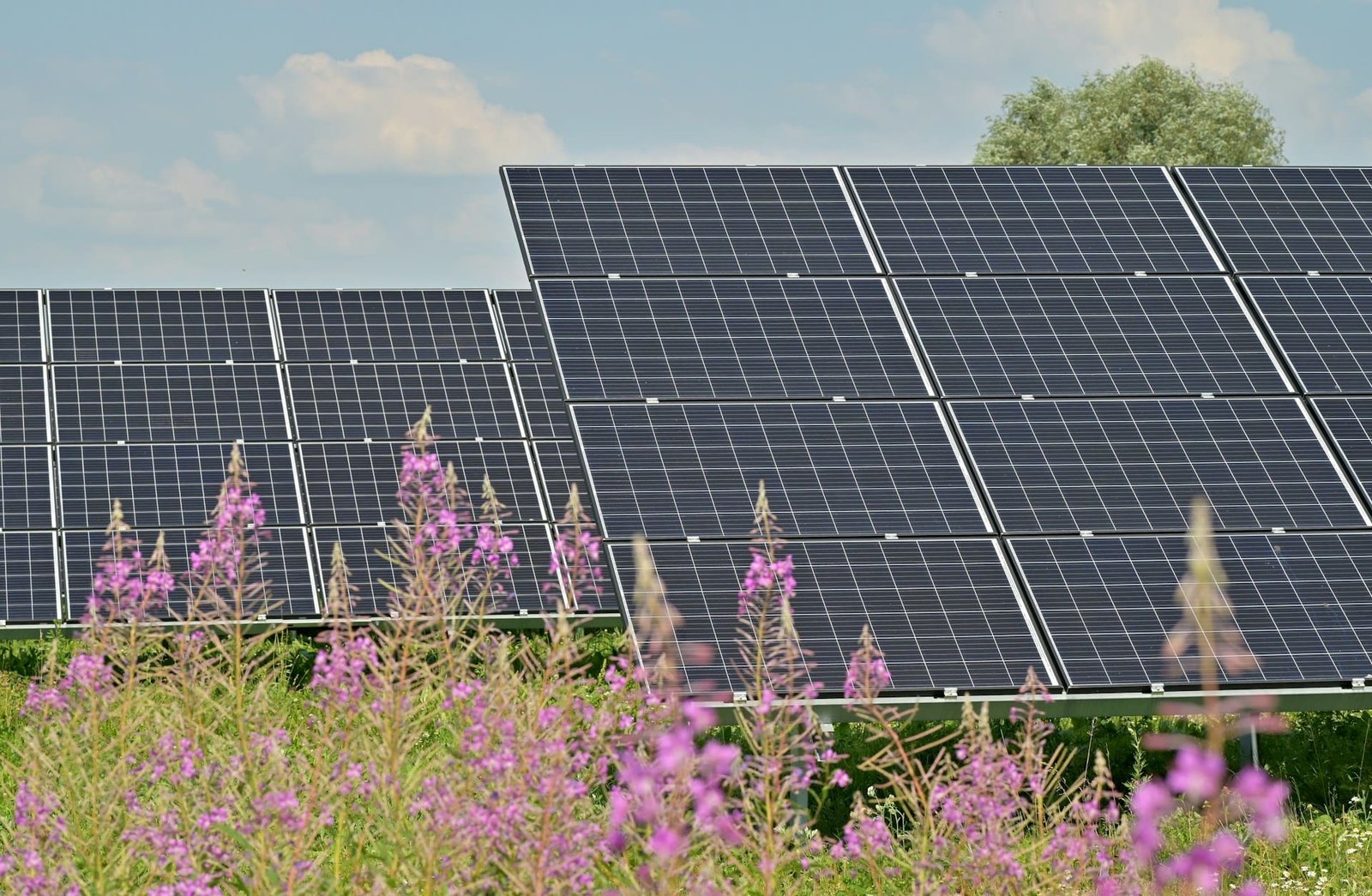 Cleve Hill, UK’s largest solar park, now online