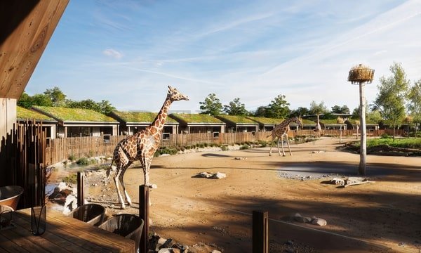 Chester Zoo offering face-to-face wildlife encounters
