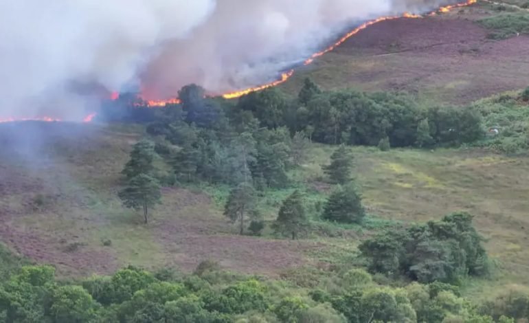 Aerial view of Wimborne fire at Holt Heath showing flames spreading across Dorset heathland during evacuations
