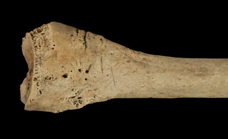Bone cannibalism in a remote Spanish cave reveals Neolithic violence