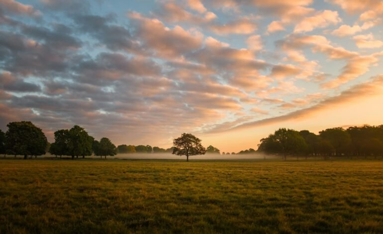 Richmond Park open space