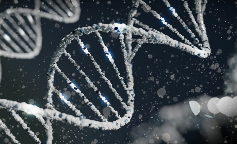 dna structure
