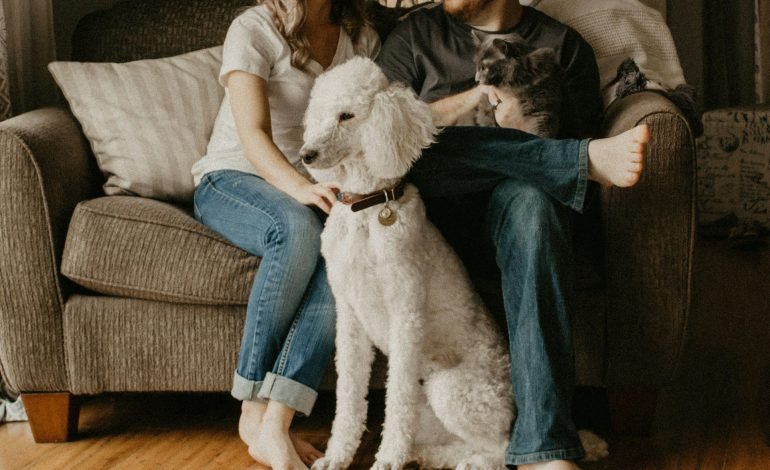 family in households with pets