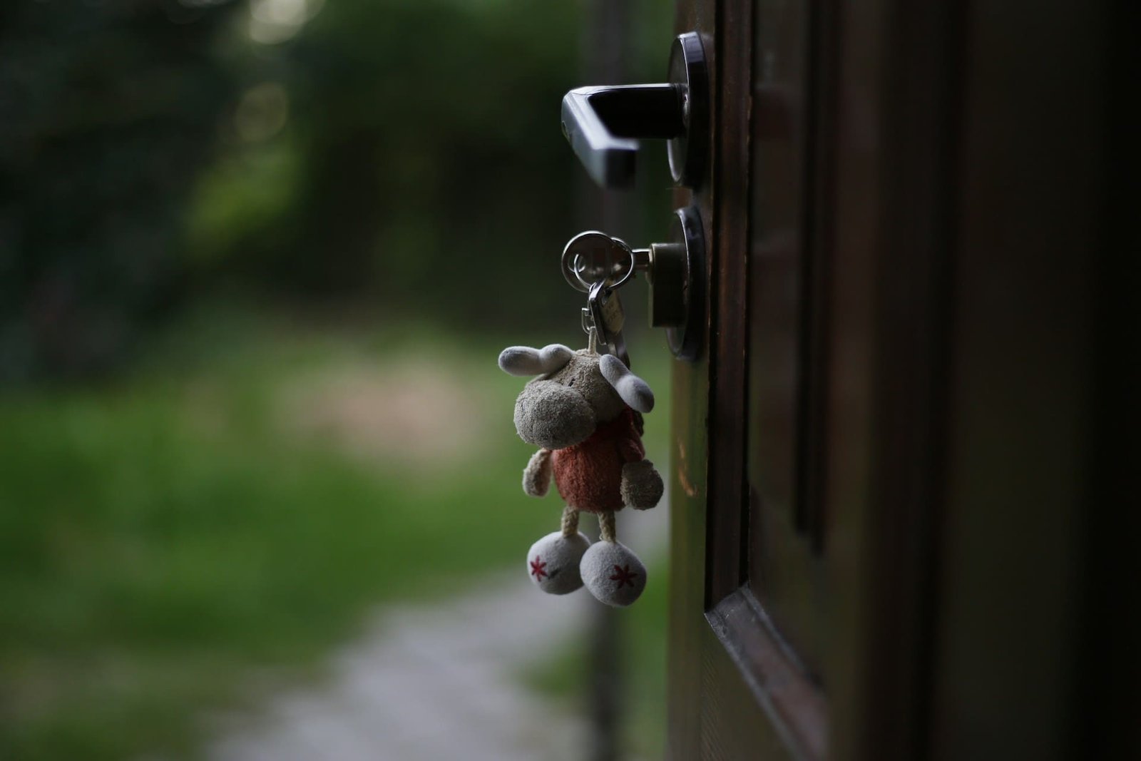 keyring hanging form key in a lock