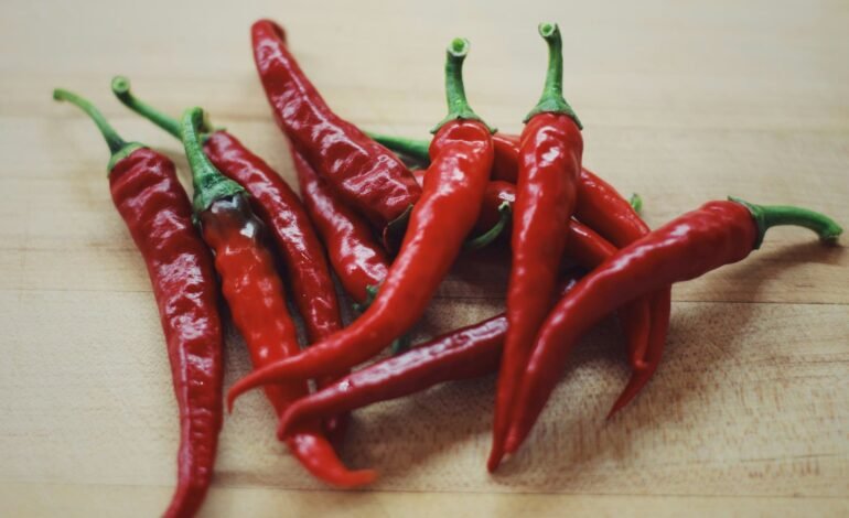 Chilli Fest comes to Fulham Palace