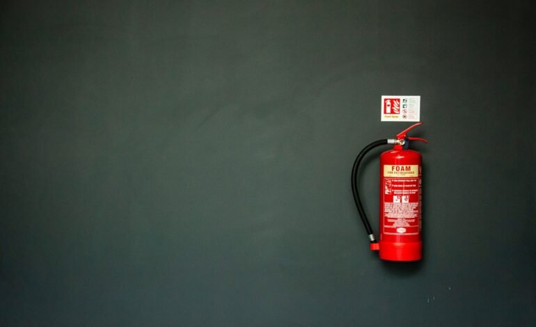 Specialist action to tackle wildfires called upon by Mayor
